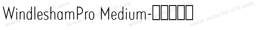 WindleshamPro Medium字体转换